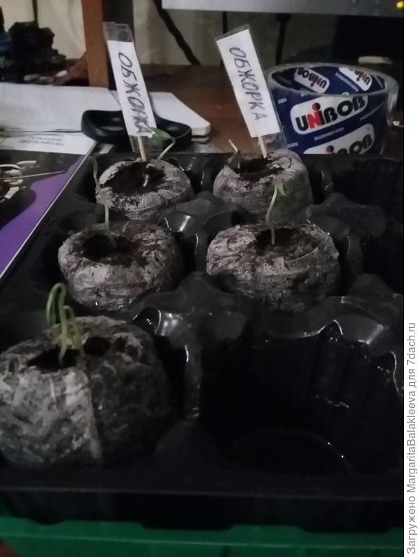 вот такие метки