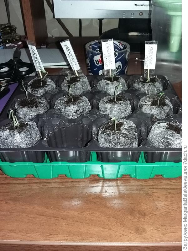 Полным-полно и Обжорка