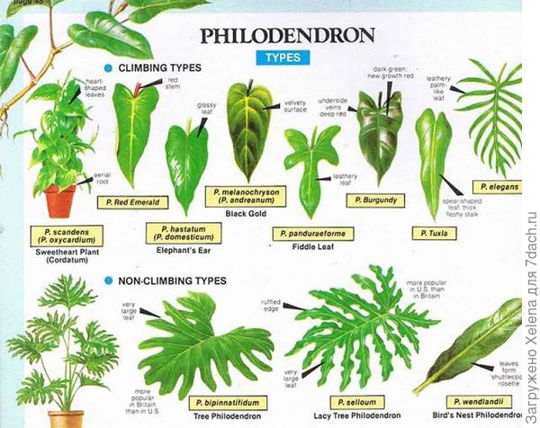 Может поможет.