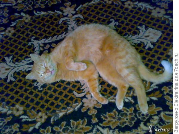 нам просто лень...