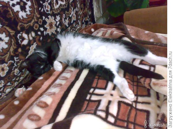 Все равно, я самая-самая...