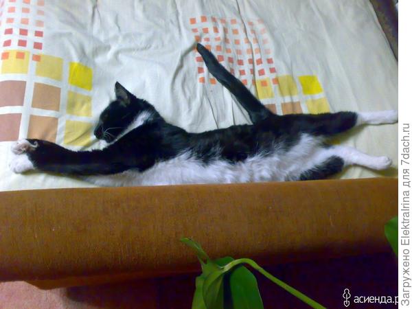 И даже не спорьте...