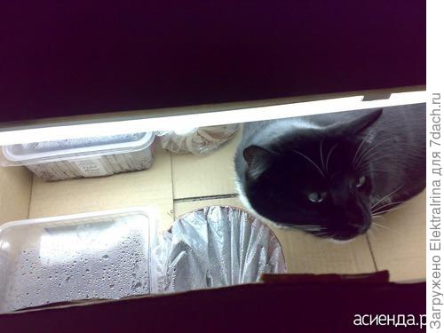 Вот здесь чуть-чуть видны два контейнера...