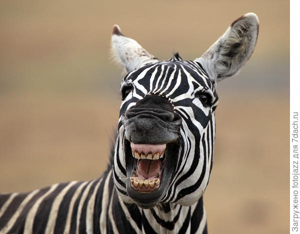 Девчата!Всем спасибо за участие!!!!