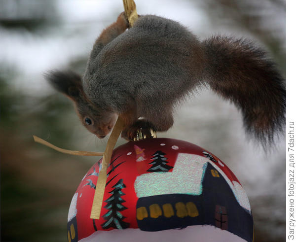 В ожидании праздника