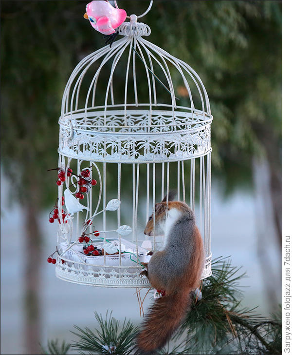 Примерно так:)