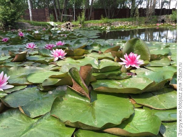 &amp;amp;amp;amp;#39;"""