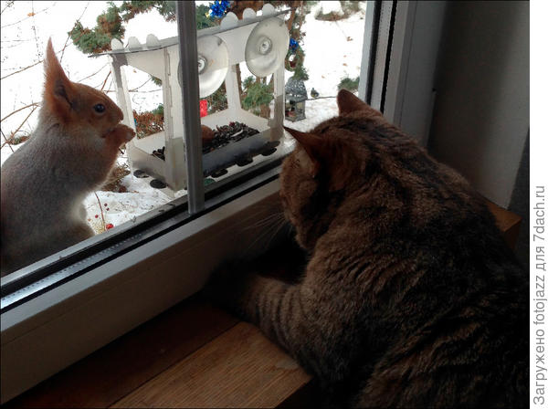 Они почти дружат:)