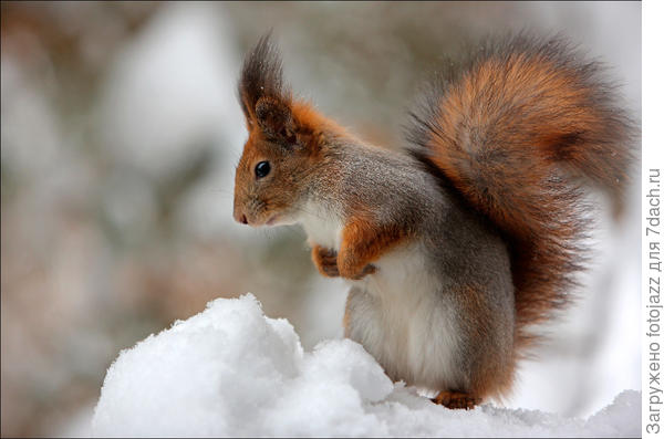 Эта извиняется и обещает исправиться:)
