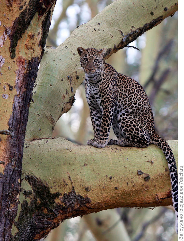 и там уже Вас давно ждут...