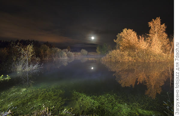 ночная рыбалка