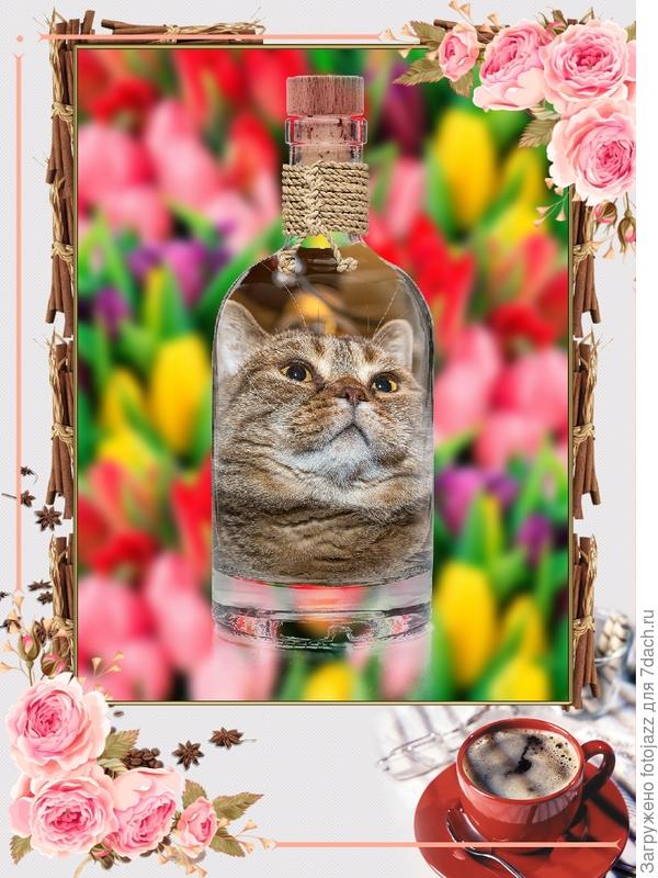 Наши Вам искренние поздравления и пожелания!!!