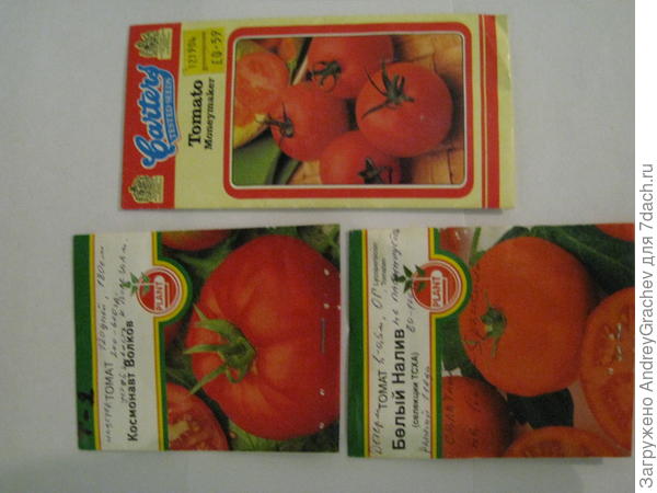 томаты