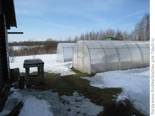 березы вокруг всего озера