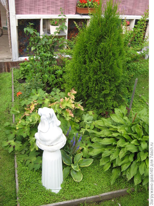 Вот так это выглядит.