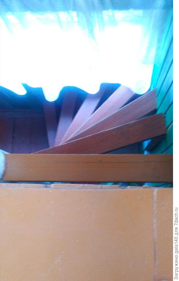 Вид сверху.