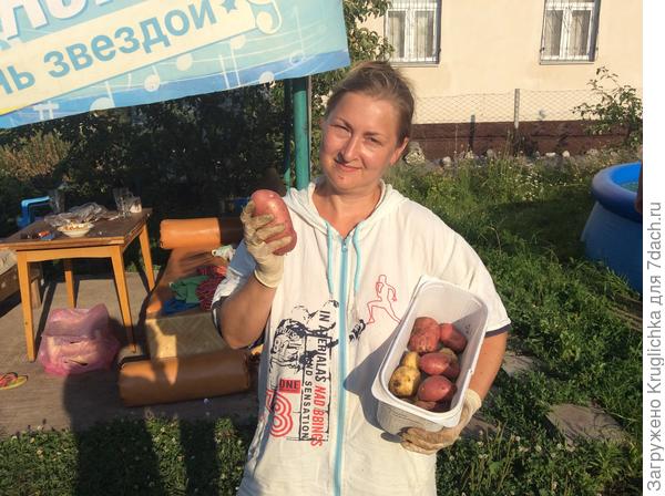 картошечка сухая и чистая