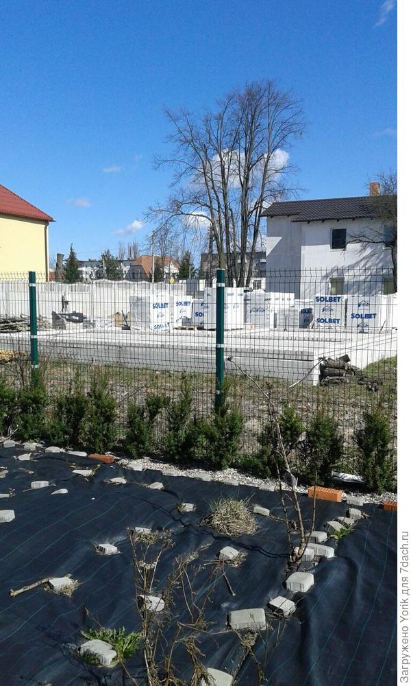 Забор между соседями, с ними надо дружить и общаться а не отгораживаться глухой стеной