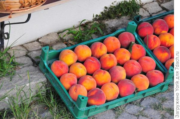 Угощайтесь