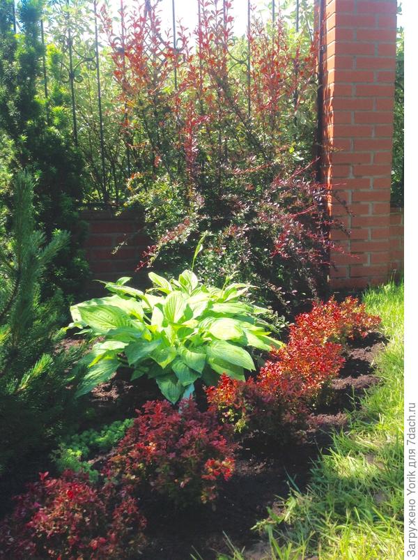 Вот так, когда солнце