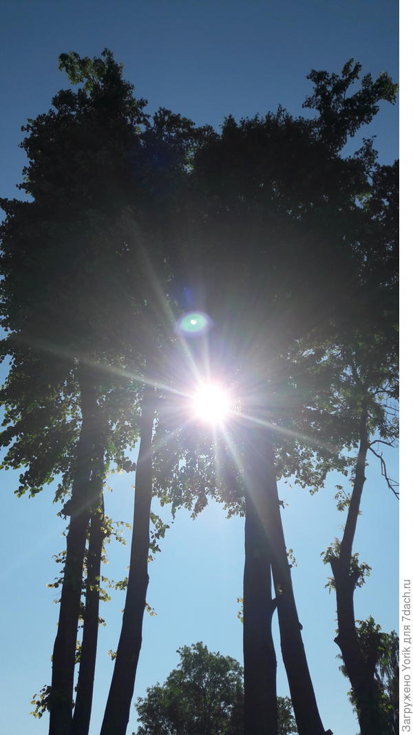 А летом так