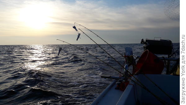 От нашего стола вашему