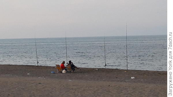 Дачники на вечерней зорьке