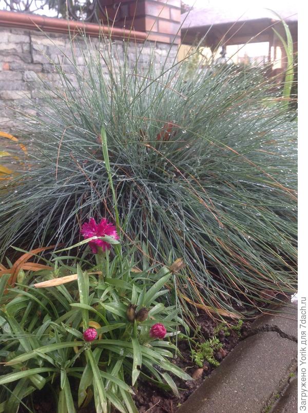 Ну, не верю, что скоро зима