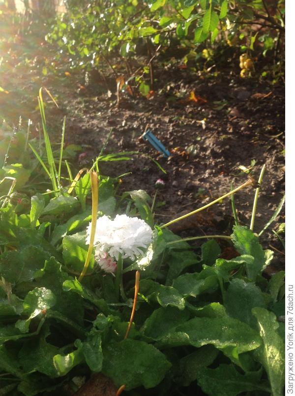 Нет, это не снег