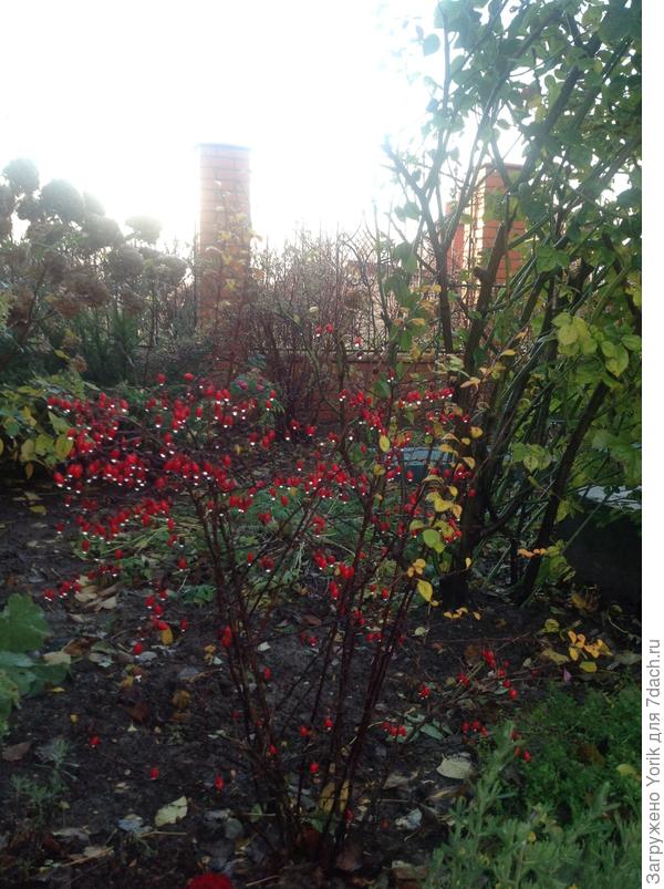 Да и эту тоже