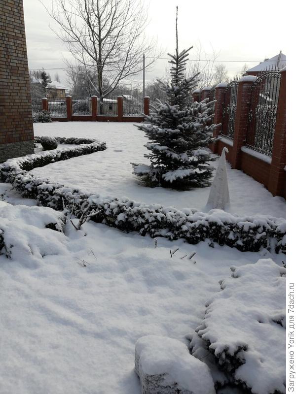 Наконец то выпал первый снег