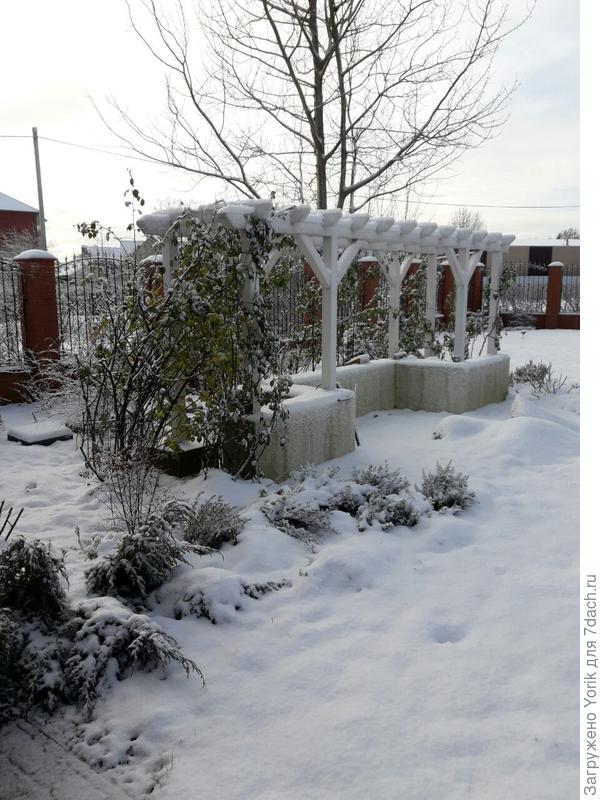 Первый снег