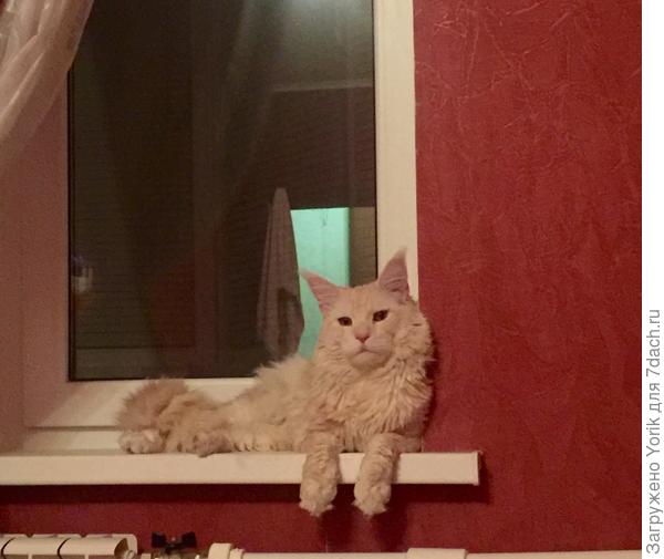 Источнику 14 месяцев