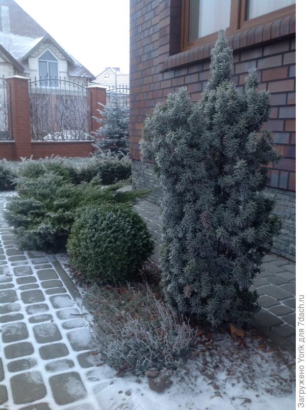 Продолжая &quot;бесснежную&quot;тему