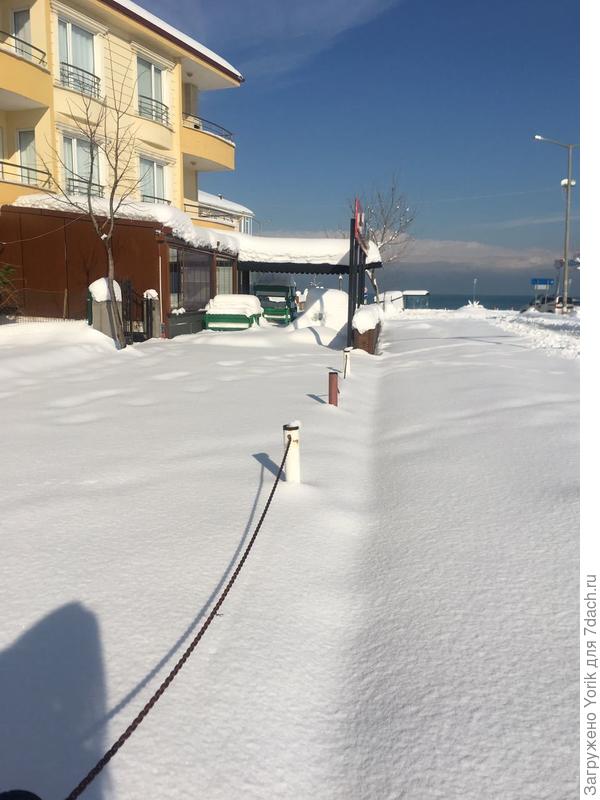 Вот такая черноморская красота