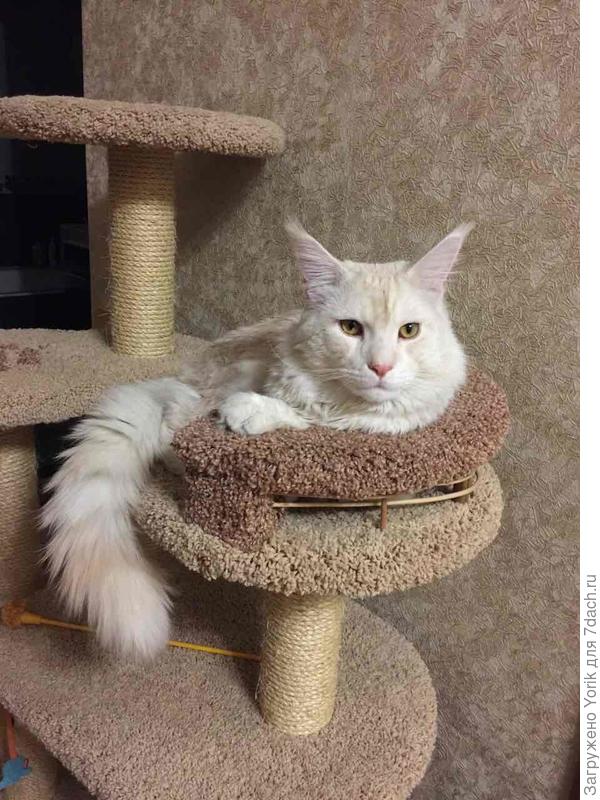 Когда мы сильно любим кого-то и отдаем ему самое дорогое, что у нас есть, мы ведь знаем, что от этого человека нам не будет никакого зла. Это и есть жертва