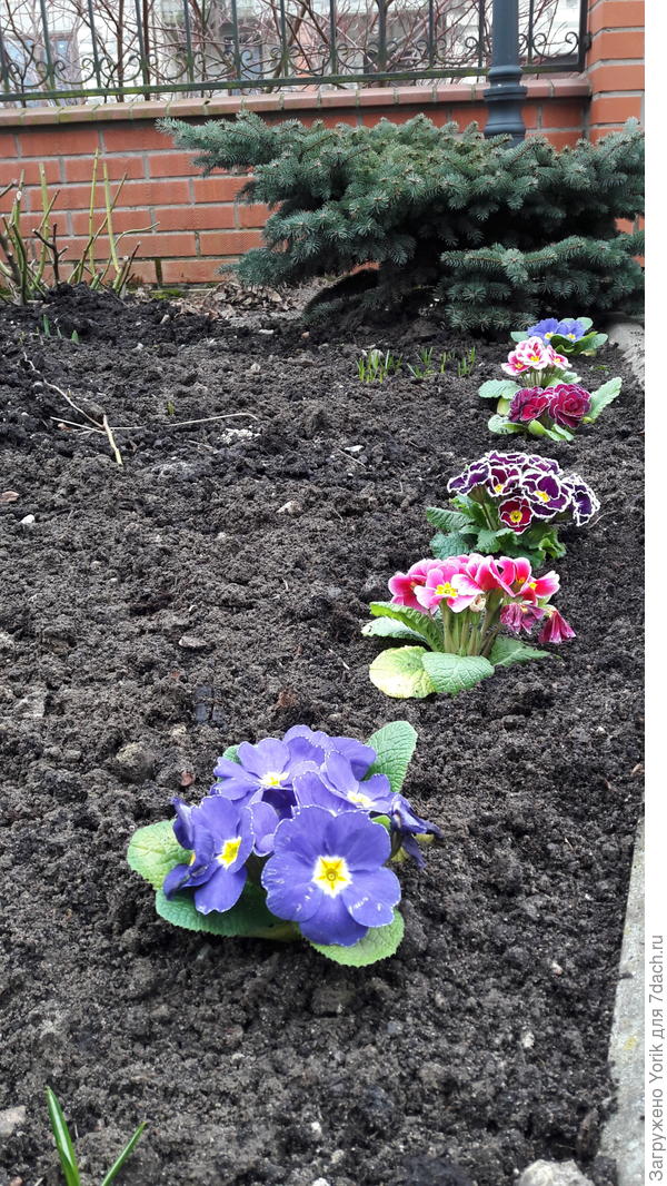 Пока суть да дело