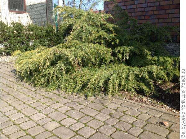 Это март 2017