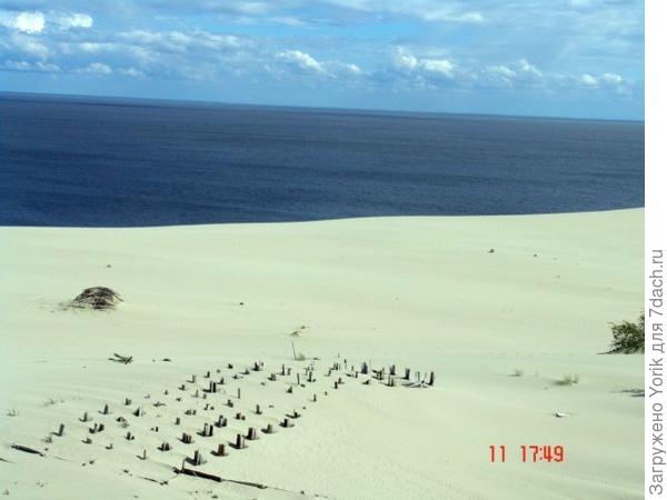 Где то там Гольфстрим