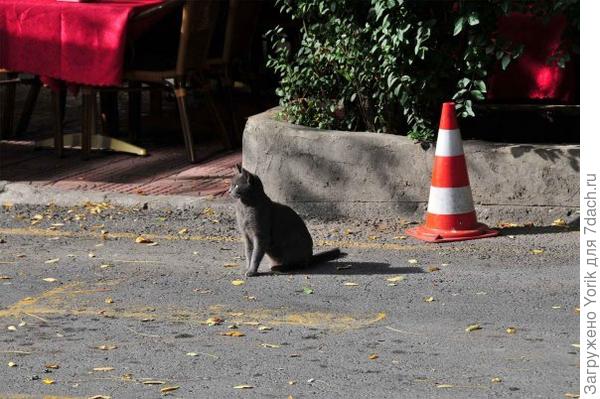 Я знаю, что все люди в толпе и в одиночестве, утром и вечером постоянно думают о тех, на чьем месте они хотели бы быть.