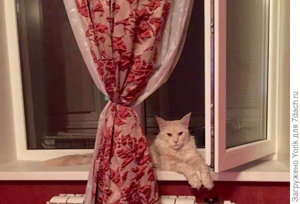 Вот так следим за порядком