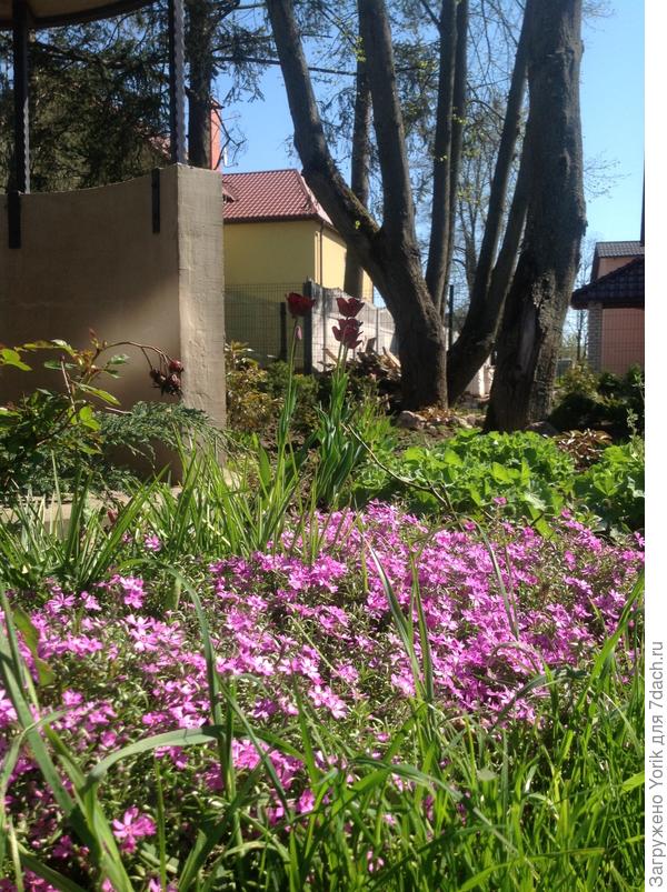 Вот это более весеннее настроение