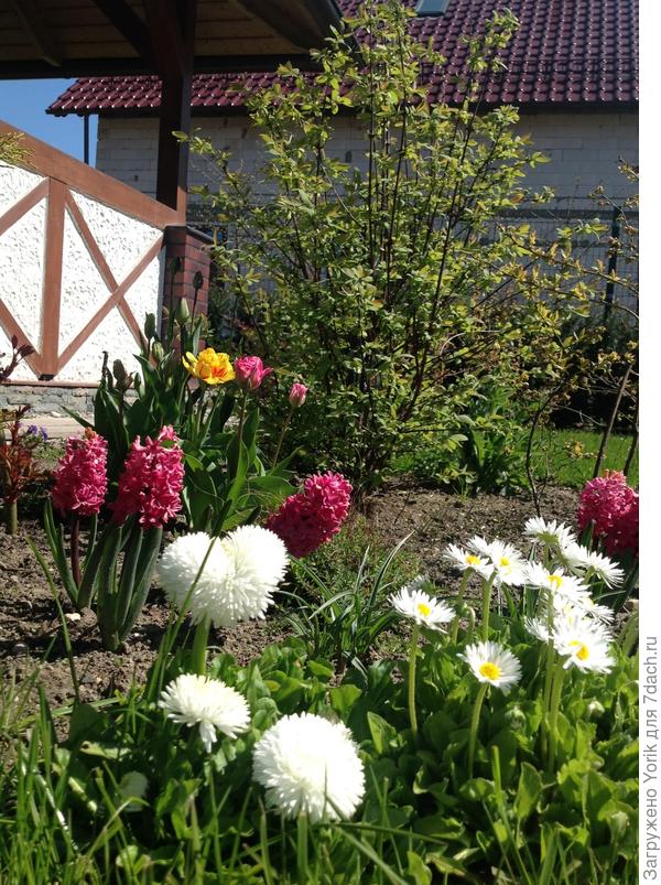 Им все нипочем