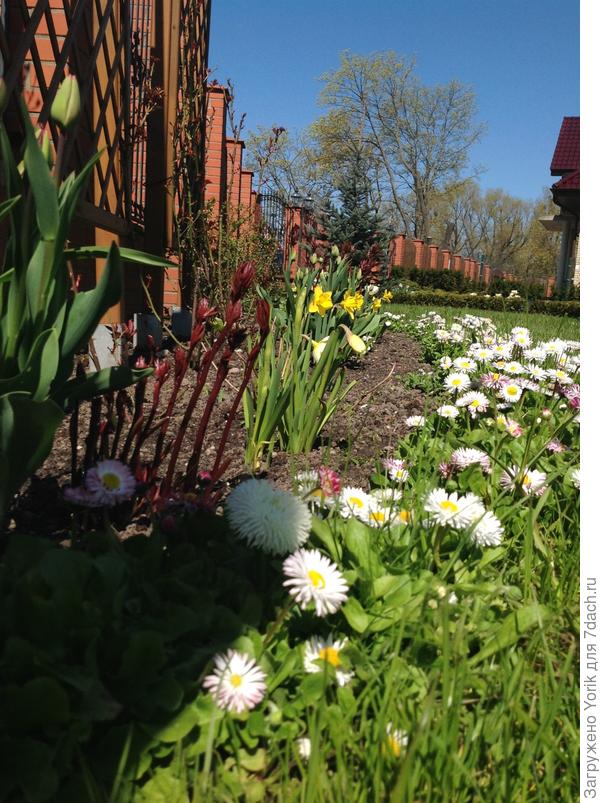 И ещё один "радостный" бордюр