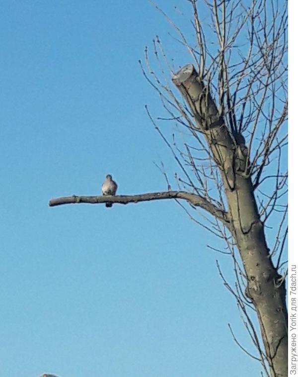 Пока дети спят, можно погреться на солнышке