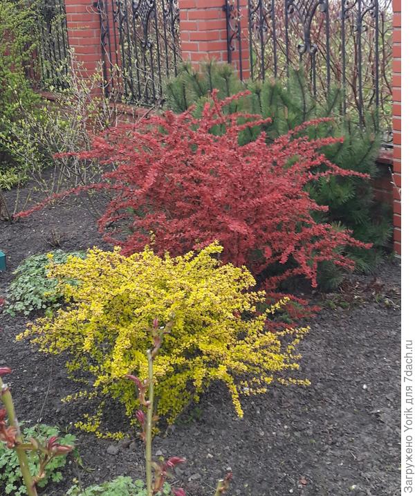 Вот  такой кусочек радуги