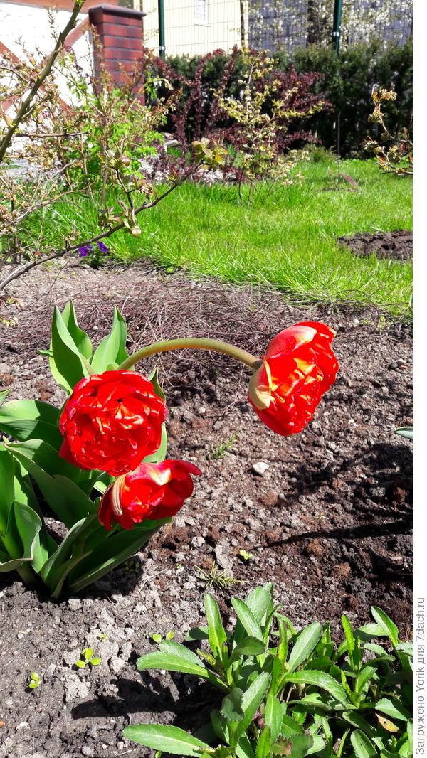 Последствия вчерашней непогоды.