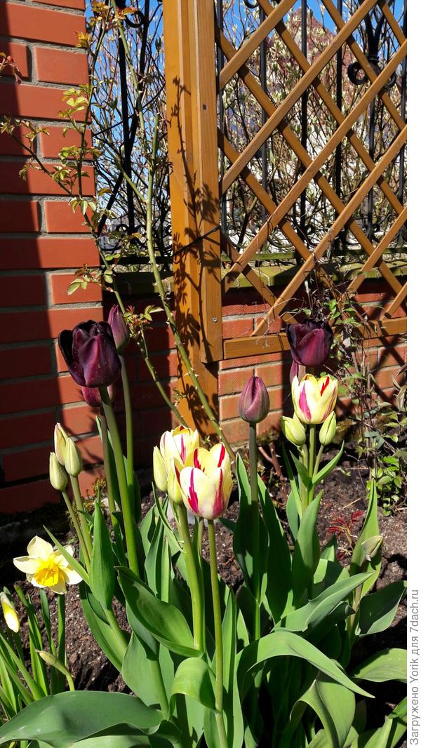 Ну и еще для общей картины