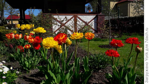 Этюд в каталонских тонах