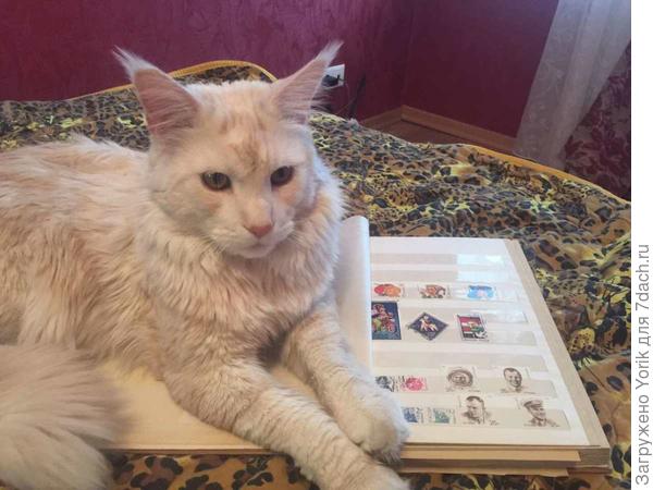 Сегодня я филателист